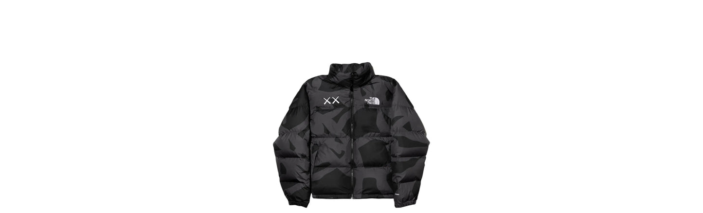 KAWS X The North face puffer