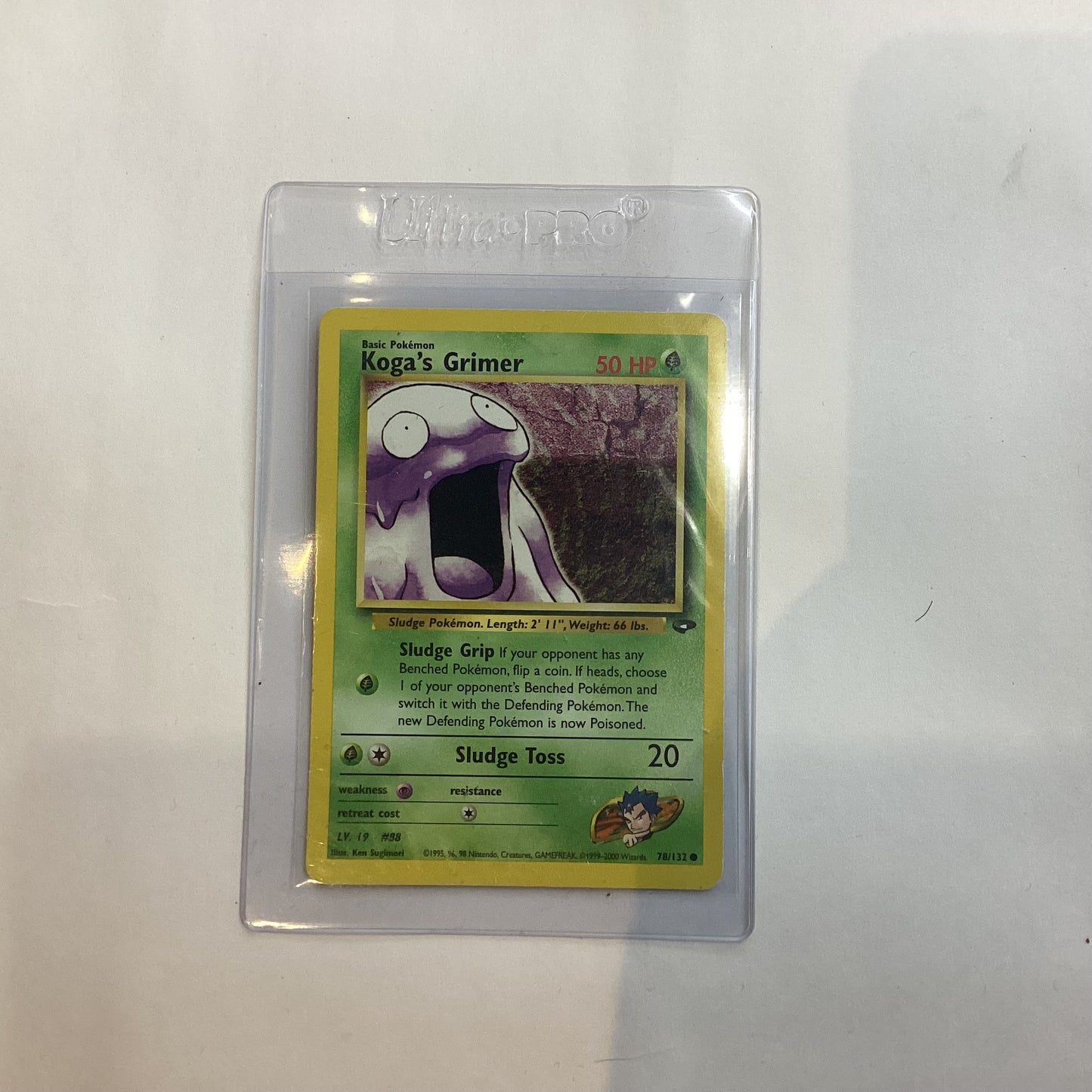 Ungraded Pokemon Cards