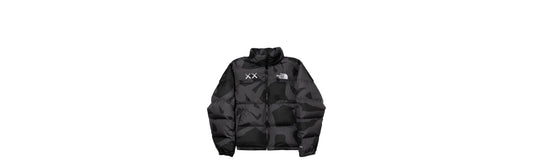 KAWS X The North face puffer