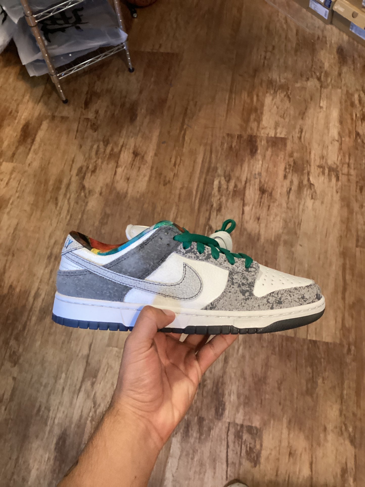 Brand new dunk low premium Philly