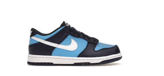 Nike dunk low blue white