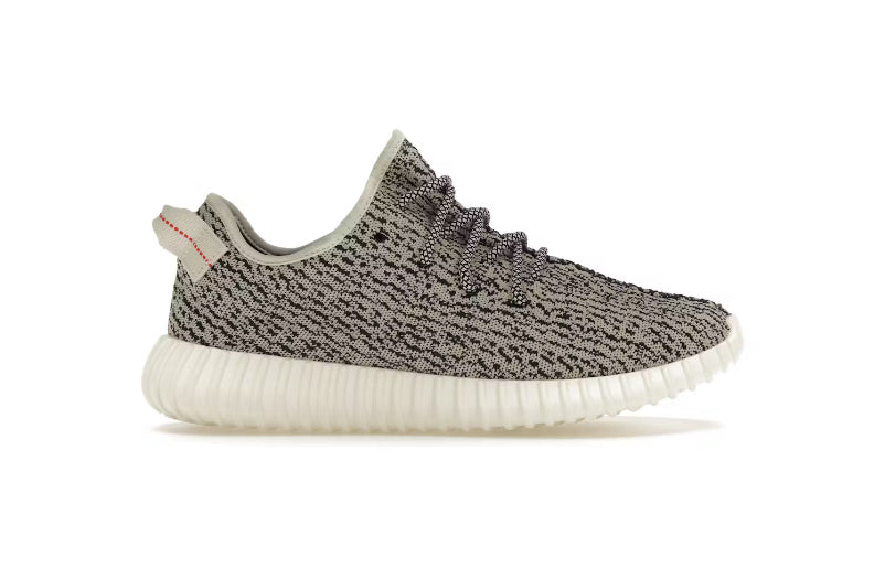 Yeezy 350 turtle dove