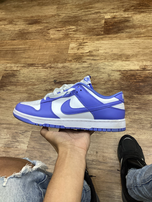 Dunk low used polar blue