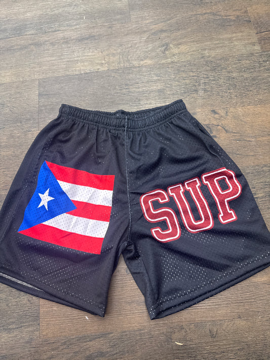 Sup Puerto Rico Flag Shorts
