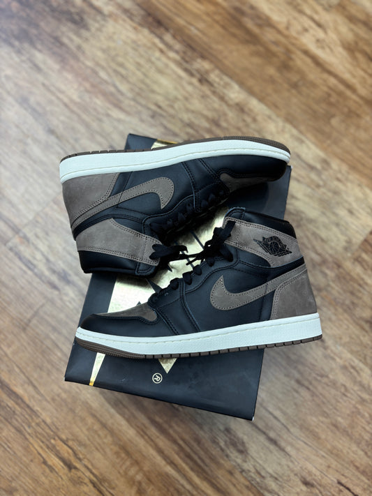 Brand new Jordan 1 palomino
